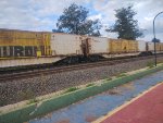 ELBR FTT-032129-0
